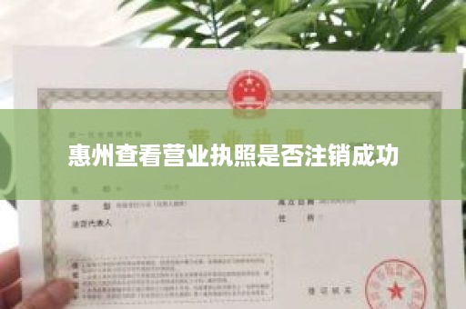惠州查看营业执照是否注销成功