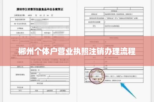 郴州个体户营业执照注销办理流程
