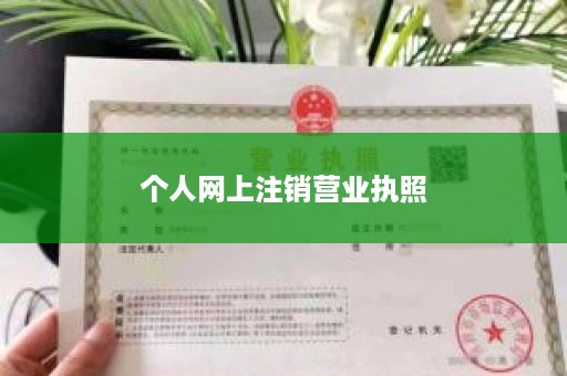 个人网上注销营业执照