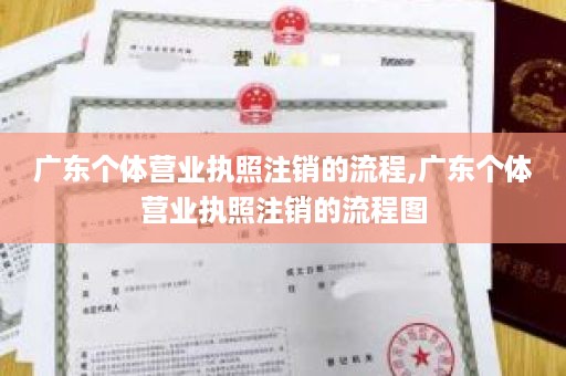 广东个体营业执照注销的流程,广东个体营业执照注销的流程图