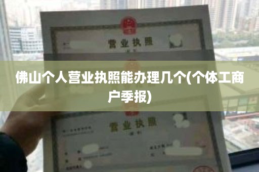 佛山个人营业执照能办理几个(个体工商户季报)