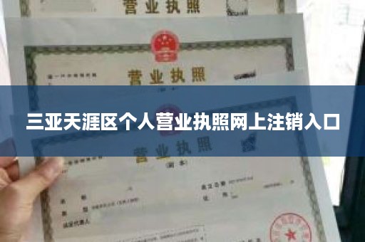 三亚天涯区个人营业执照网上注销入口