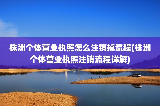 株洲个体营业执照怎么注销掉流程(株洲个体营业执照注销流程详解)