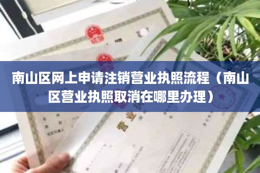 南山区网上申请注销营业执照流程（南山区营业执照取消在哪里办理）