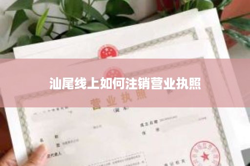 汕尾线上如何注销营业执照