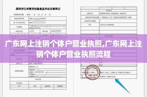 广东网上注销个体户营业执照,广东网上注销个体户营业执照流程