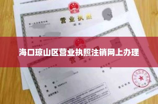 海口琼山区营业执照注销网上办理