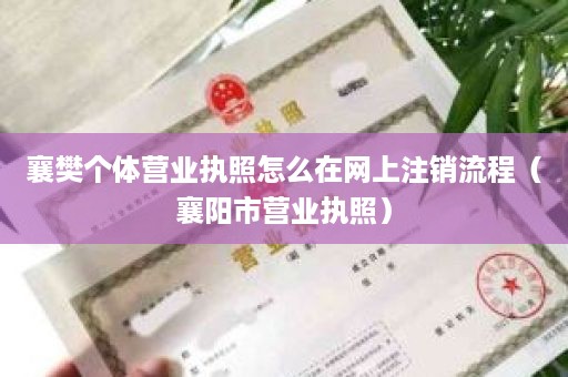 襄樊个体营业执照怎么在网上注销流程（襄阳市营业执照）