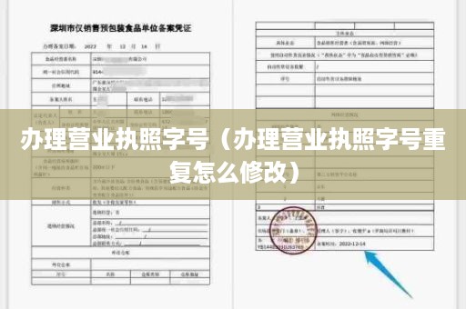 办理营业执照字号（办理营业执照字号重复怎么修改）