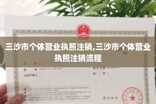 三沙市个体营业执照注销,三沙市个体营业执照注销流程