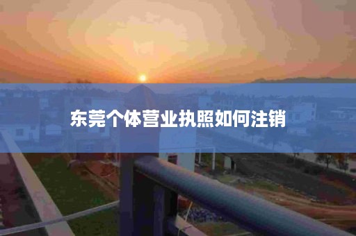 东莞个体营业执照如何注销