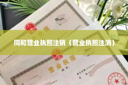 同和营业执照注销（营业执照注消）