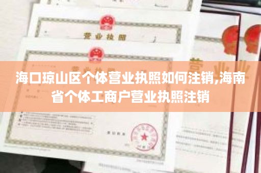 海口琼山区个体营业执照如何注销,海南省个体工商户营业执照注销