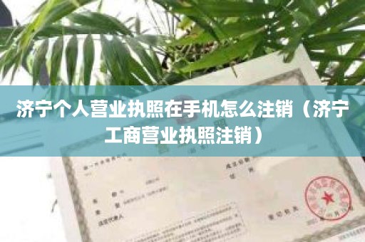 济宁个人营业执照在手机怎么注销（济宁工商营业执照注销）