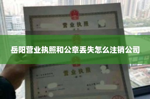 岳阳营业执照和公章丢失怎么注销公司