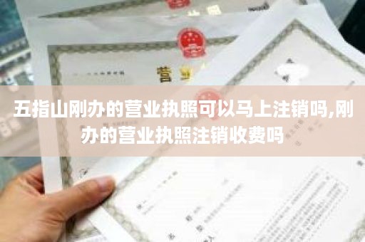 五指山刚办的营业执照可以马上注销吗,刚办的营业执照注销收费吗