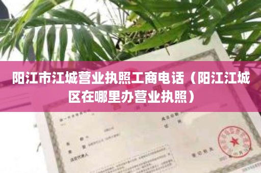 阳江市江城营业执照工商电话（阳江江城区在哪里办营业执照）