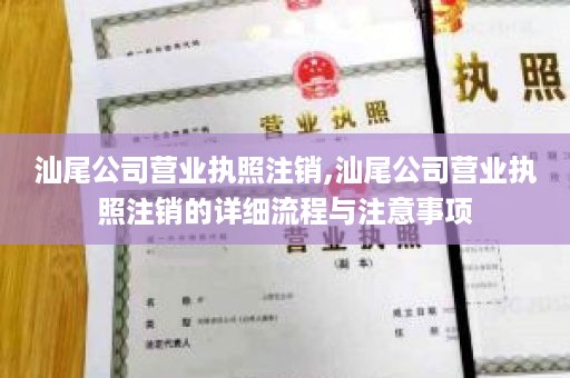 汕尾公司营业执照注销,汕尾公司营业执照注销的详细流程与注意事项