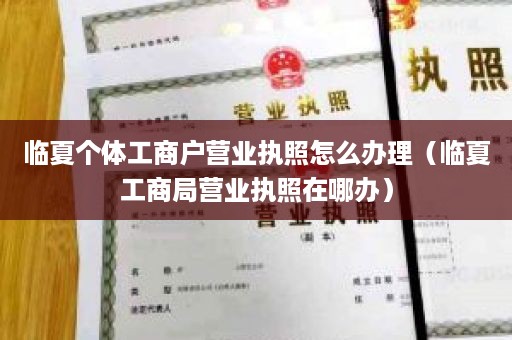 临夏个体工商户营业执照怎么办理（临夏工商局营业执照在哪办）