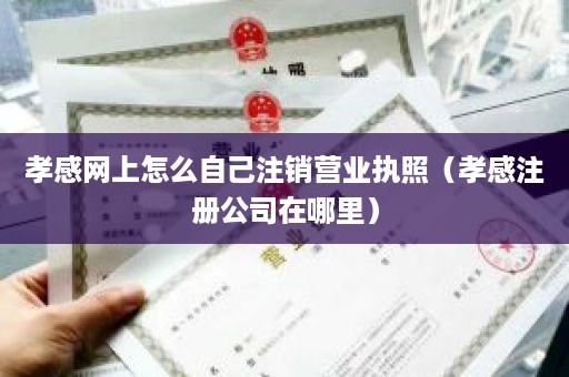 孝感网上怎么自己注销营业执照（孝感注册公司在哪里）