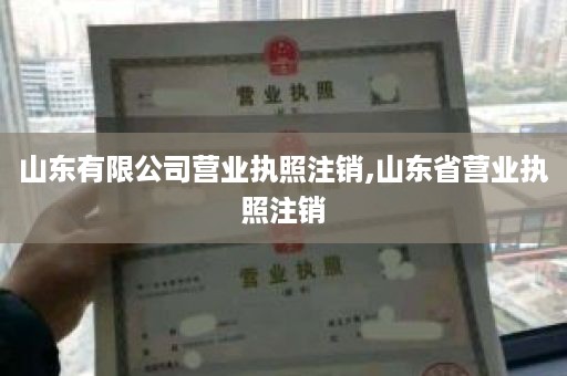 山东有限公司营业执照注销,山东省营业执照注销