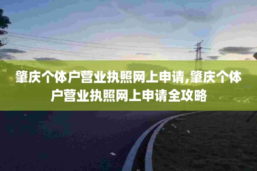 肇庆个体户营业执照网上申请,肇庆个体户营业执照网上申请全攻略