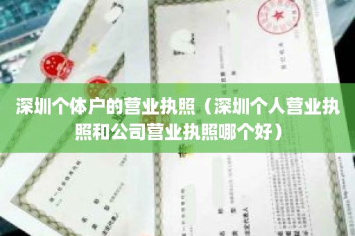 深圳个体户的营业执照（深圳个人营业执照和公司营业执照哪个好）
