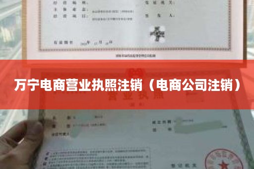 万宁电商营业执照注销（电商公司注销）