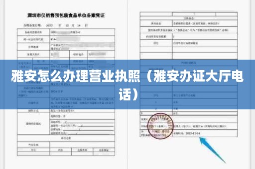 雅安怎么办理营业执照（雅安办证大厅电话）