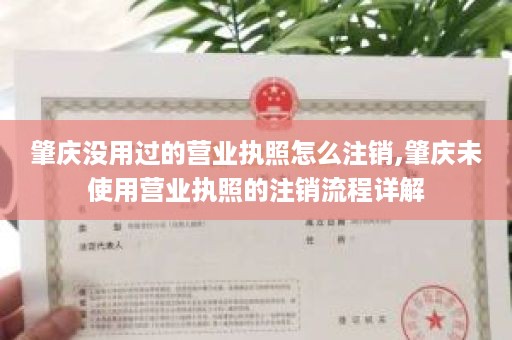 肇庆没用过的营业执照怎么注销,肇庆未使用营业执照的注销流程详解