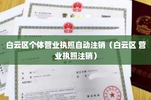 白云区个体营业执照自动注销（白云区 营业执照注销）