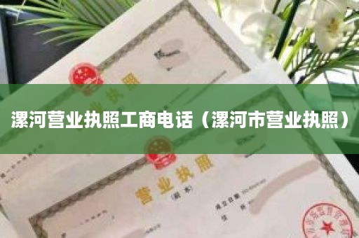 漯河营业执照工商电话（漯河市营业执照）