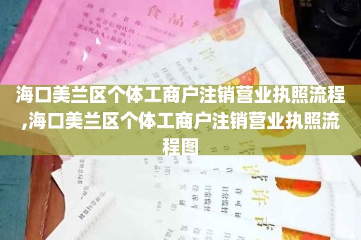 海口美兰区个体工商户注销营业执照流程,海口美兰区个体工商户注销营业执照流程图