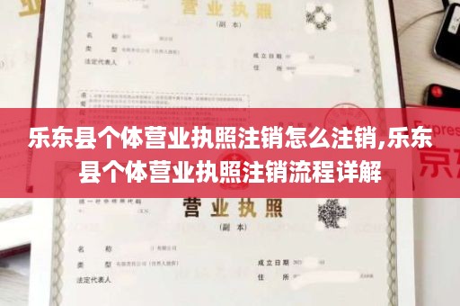乐东县个体营业执照注销怎么注销,乐东县个体营业执照注销流程详解