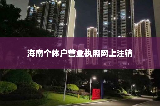 海南个体户营业执照网上注销