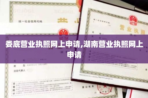 娄底营业执照网上申请,湖南营业执照网上申请