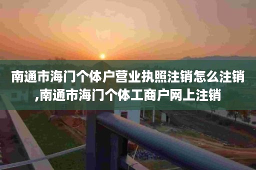 南通市海门个体户营业执照注销怎么注销,南通市海门个体工商户网上注销