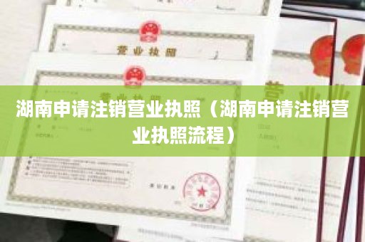 湖南申请注销营业执照（湖南申请注销营业执照流程）