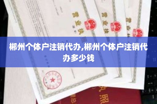 郴州个体户注销代办,郴州个体户注销代办多少钱