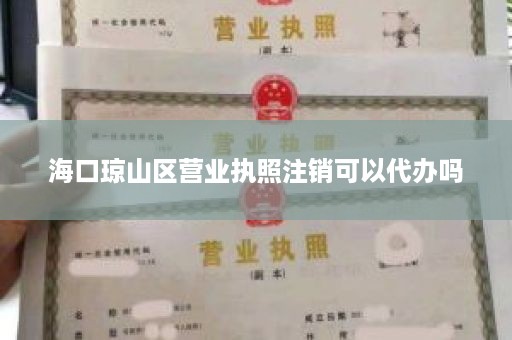 海口琼山区营业执照注销可以代办吗