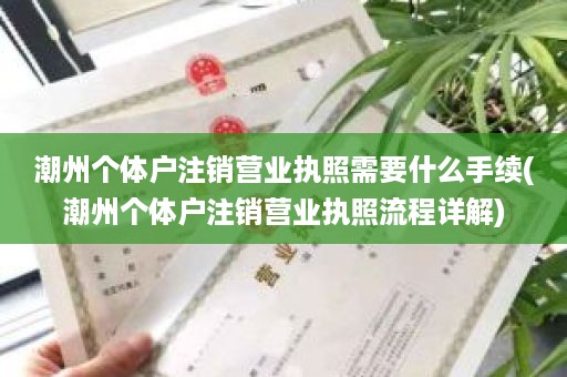 潮州个体户注销营业执照需要什么手续(潮州个体户注销营业执照流程详解)