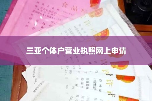 三亚个体户营业执照网上申请