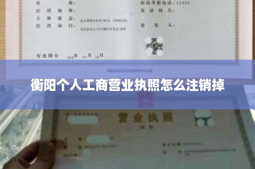 衡阳个人工商营业执照怎么注销掉