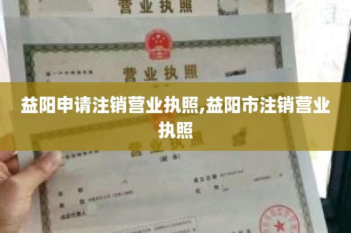 益阳申请注销营业执照,益阳市注销营业执照
