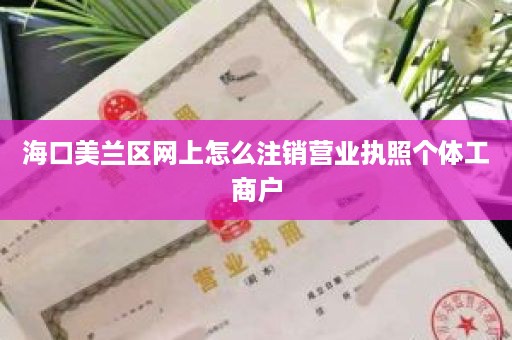 海口美兰区网上怎么注销营业执照个体工商户