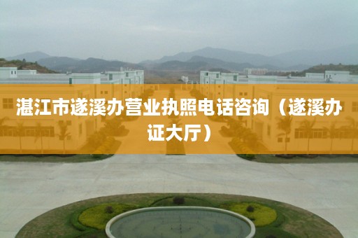 湛江市遂溪办营业执照电话咨询（遂溪办证大厅）
