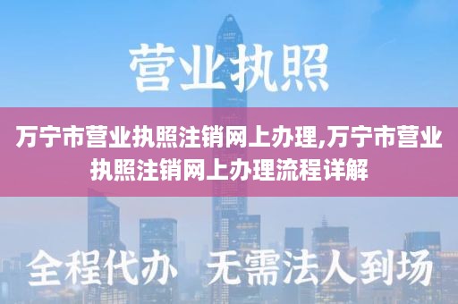 万宁市营业执照注销网上办理,万宁市营业执照注销网上办理流程详解