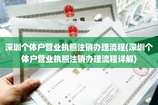 深圳个体户营业执照注销办理流程(深圳个体户营业执照注销办理流程详解)