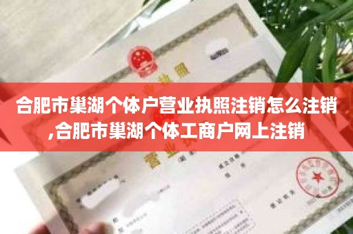 合肥市巢湖个体户营业执照注销怎么注销,合肥市巢湖个体工商户网上注销