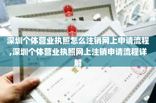 深圳个体营业执照怎么注销网上申请流程,深圳个体营业执照网上注销申请流程详解